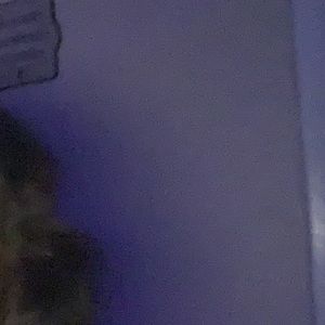 Meet your Posher, Alissa